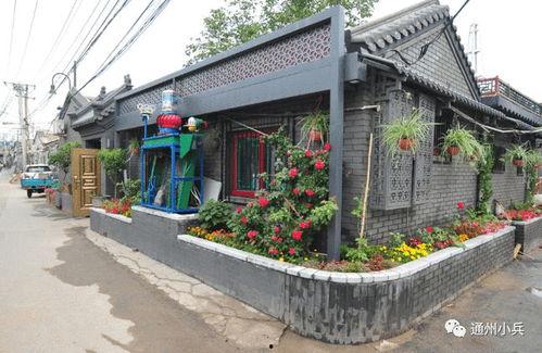 火影忍者帕克最新爆料2025年,揭秘忍者世界的未来篇章